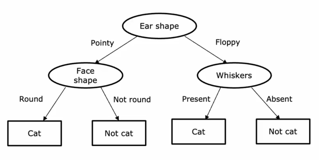 image-20220914161521818