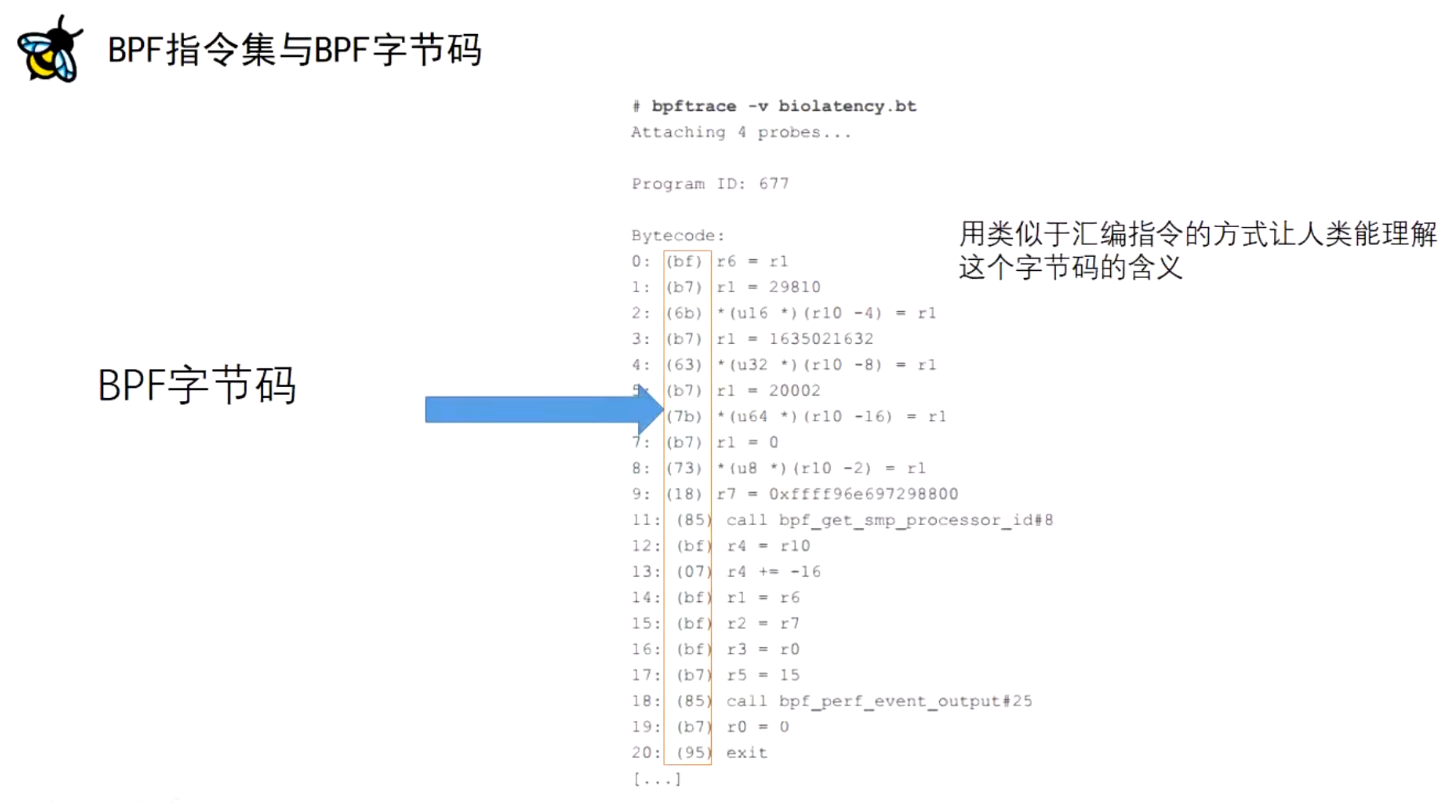 image-20230719220548910